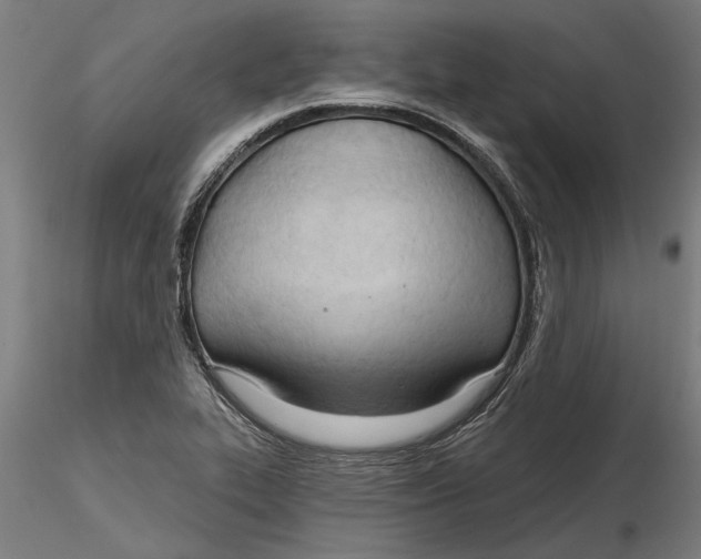 X0000116321319200912221351