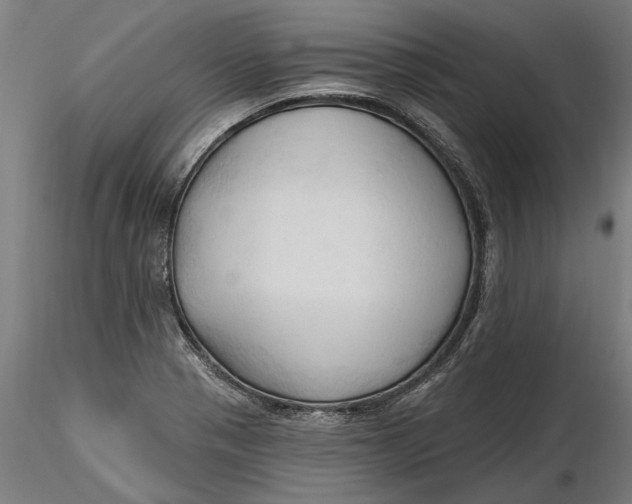 X0000116321321200912221351