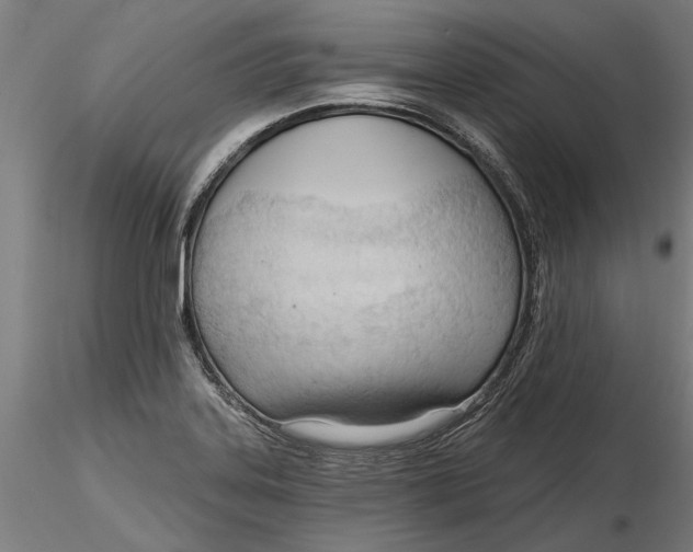 X0000116321323200912221351