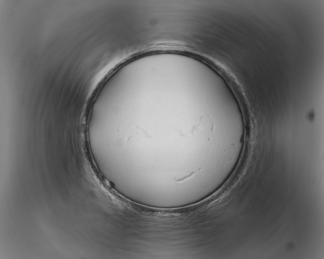 X0000116321325200912221351