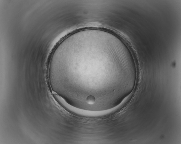 X0000116321326200912221351