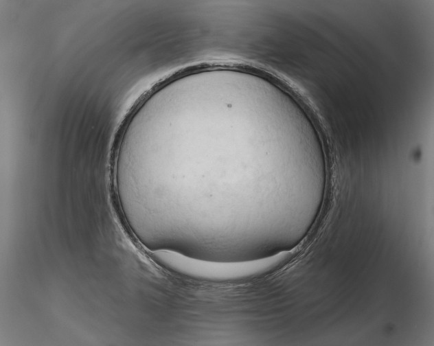 X0000116321327200912221351