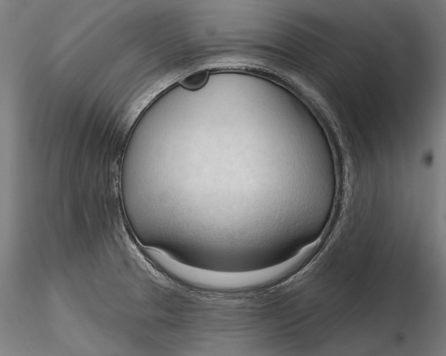 X0000116321329200912221351