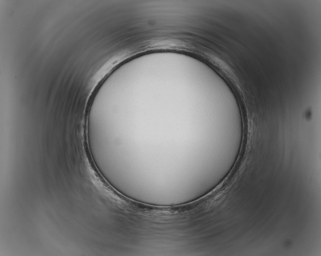 X0000116321330200912221351