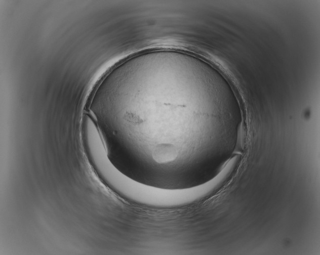 X0000116321331200912221351