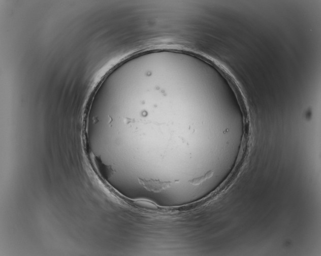 X0000116321333200912221351