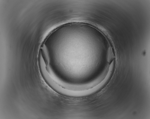 X0000116321334200912221351