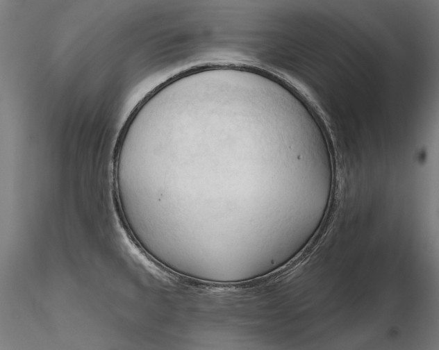 X0000116321335200912221351