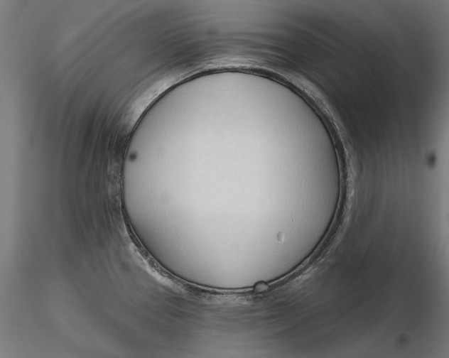 X0000116321337200912221351