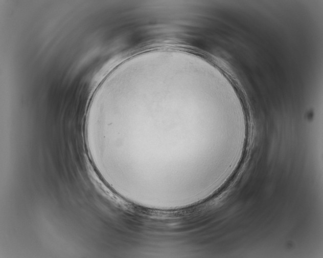 X0000116321338200912221351