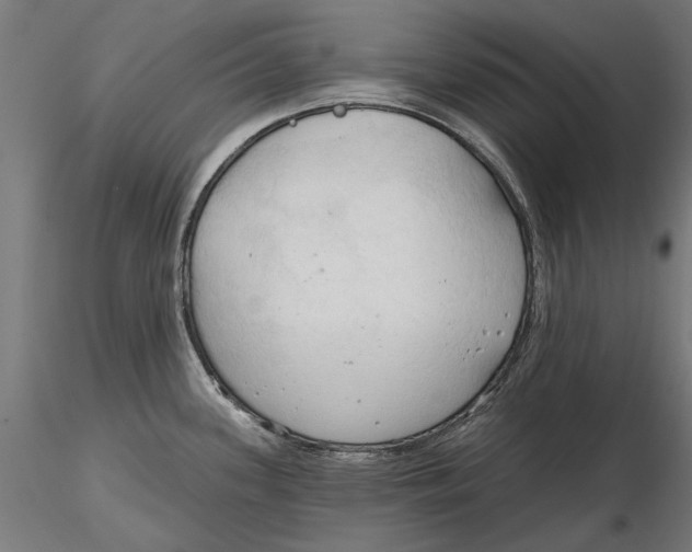 X0000116321339200912221351