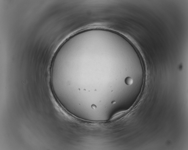 X0000116321341200912221351