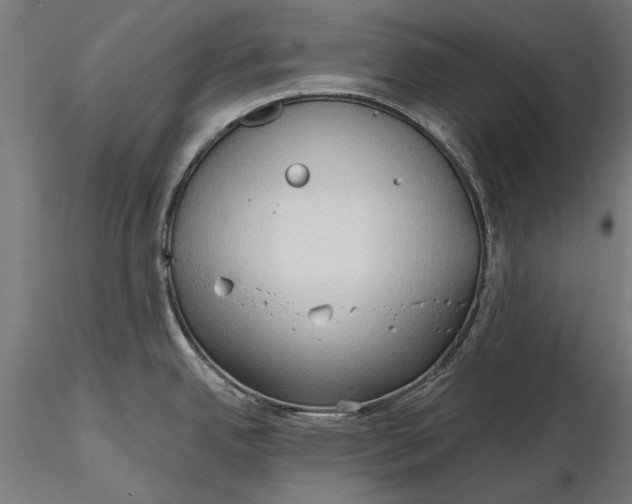 X0000116321342200912221351