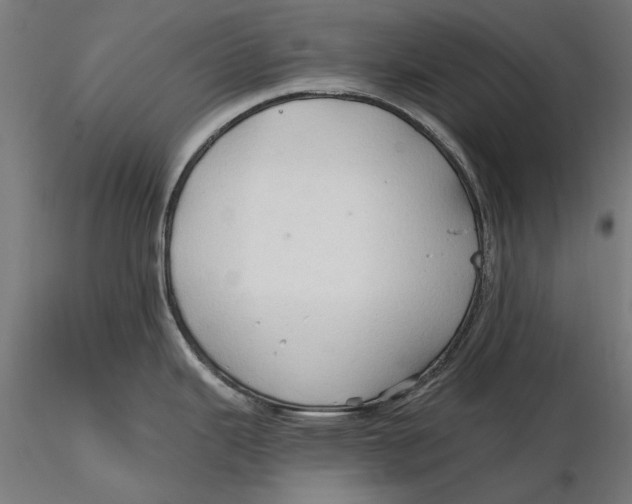 X0000116321343200912221351