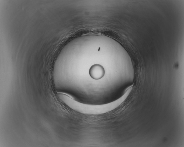 X0000116321345200912221350