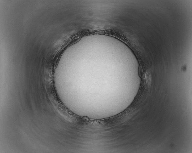 X0000116321348200912221350