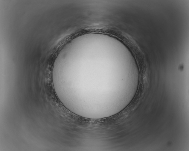 X0000116321350200912221350