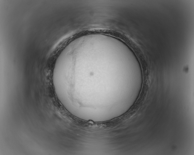 X0000116321351200912221350