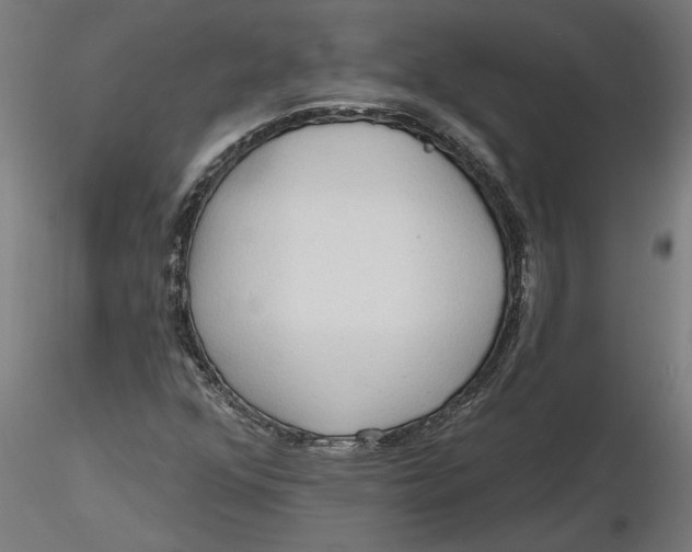 X0000116321352200912221350