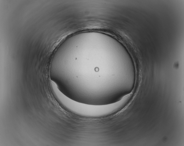 X0000116321353200912221350