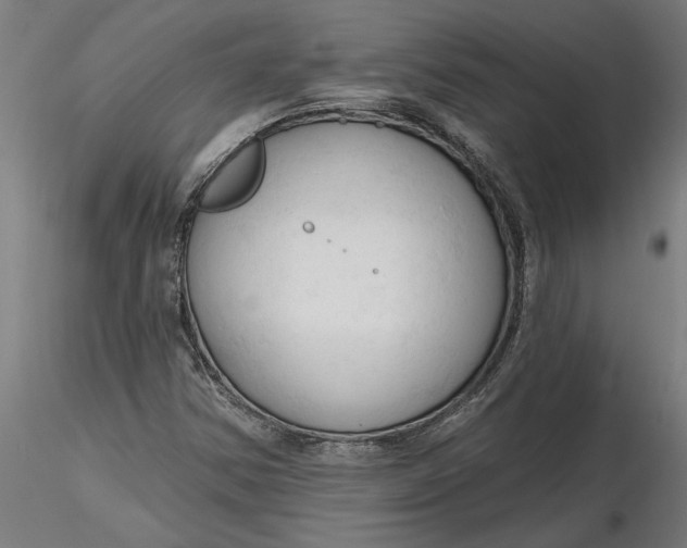 X0000116321354200912221350