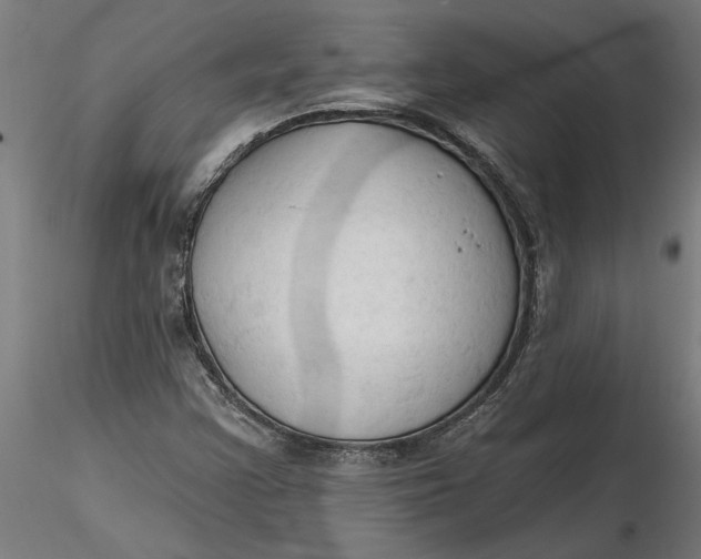 X0000116321355200912221350