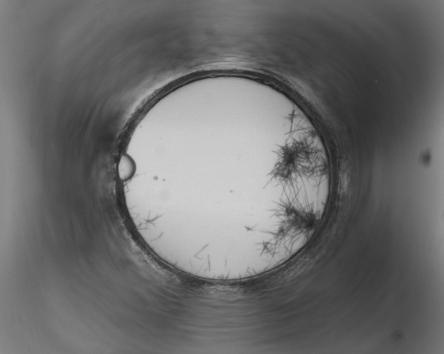 X0000116321356200912221350