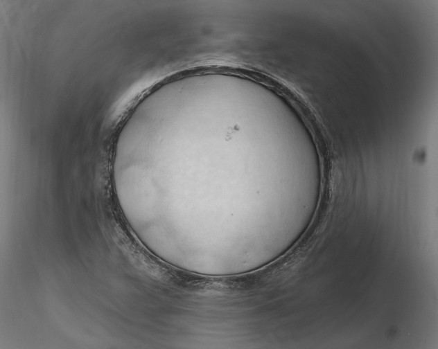 X0000116321359200912221350