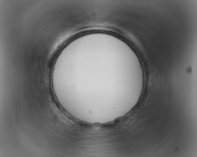 X0000116321360200912221350