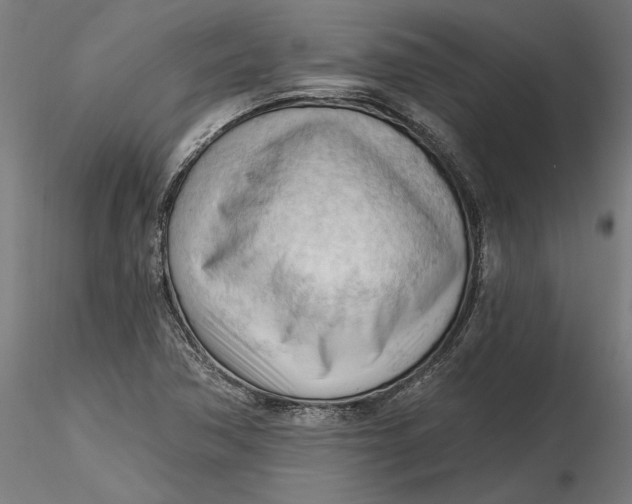 X0000116321362200912221350