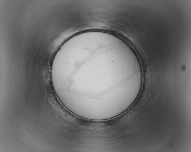 X0000116321363200912221350