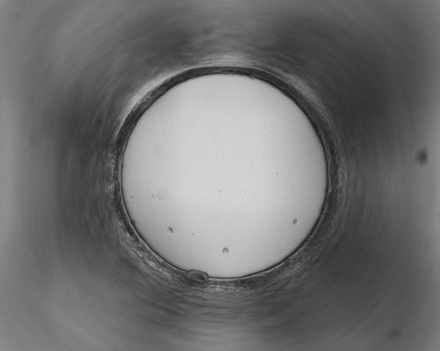 X0000116321364200912221350