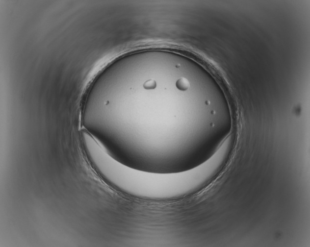 X0000116321365200912221350