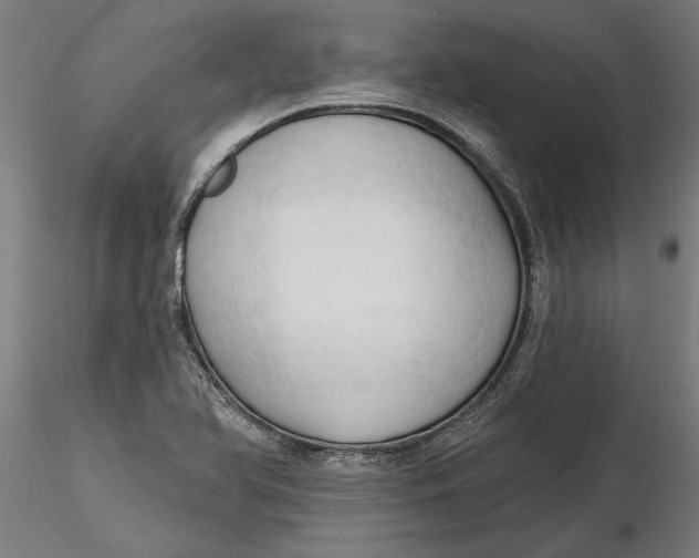 X0000116321366200912221350