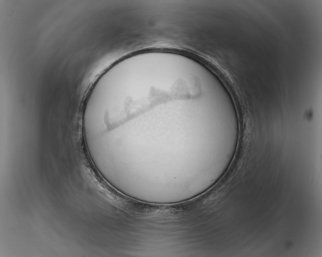 X0000116321367200912221350