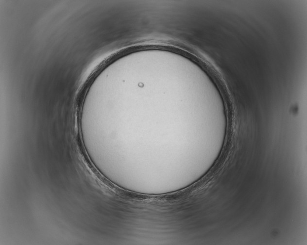 X0000116321368200912221350