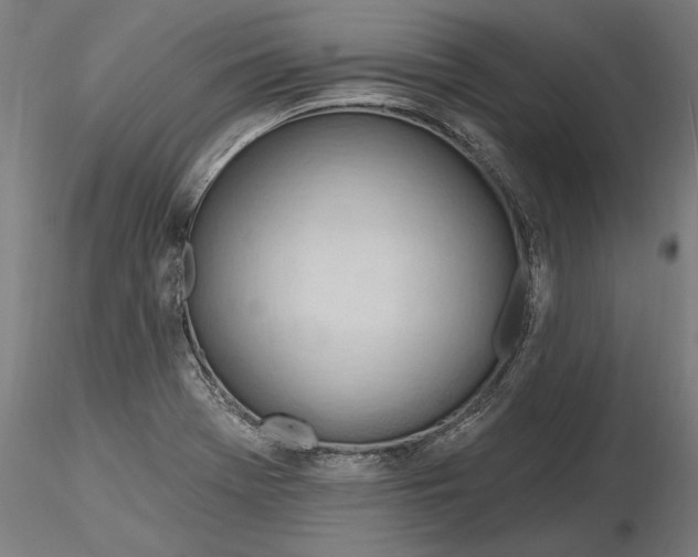 X0000116321369200912221350