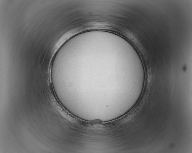 X0000116321370200912221350