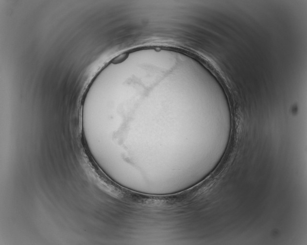 X0000116321371200912221350