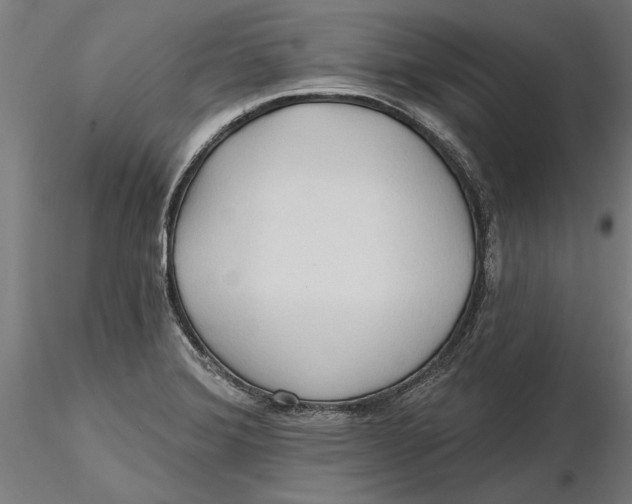 X0000116321372200912221350