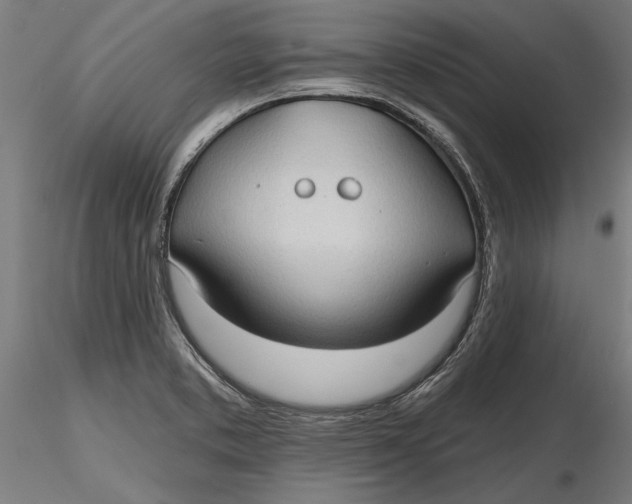 X0000116321373200912221350