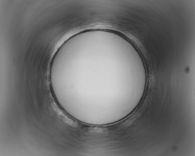 X0000116321374200912221350