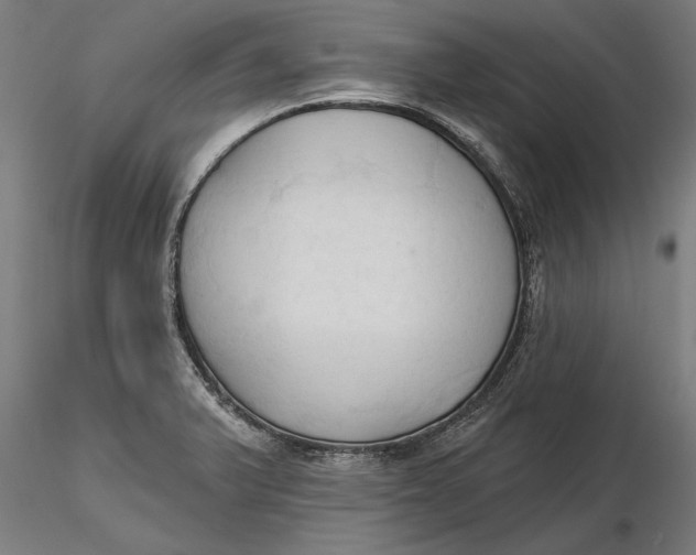 X0000116321375200912221350