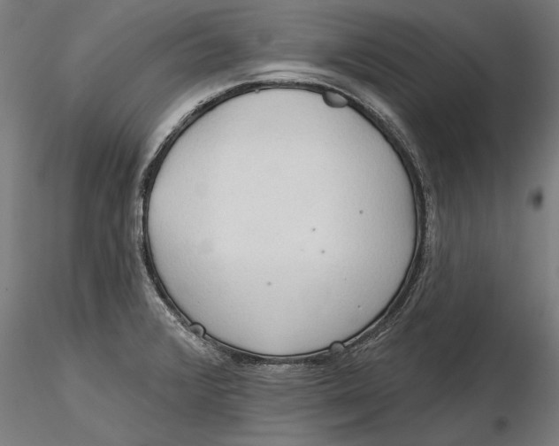 X0000116321376200912221350