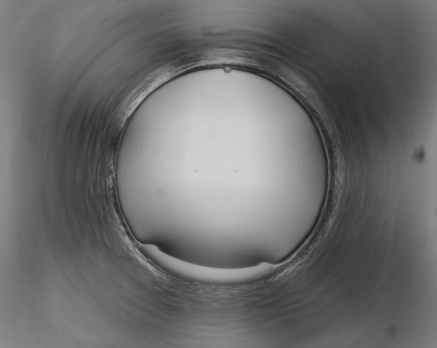 X0000116321377200912221350