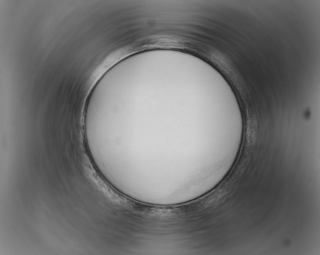 X0000116321378200912221350