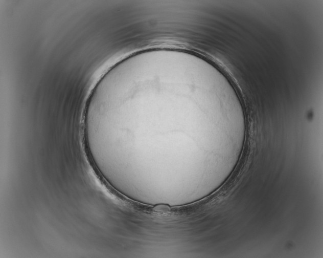 X0000116321379200912221350