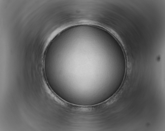 X0000116321381200912221350