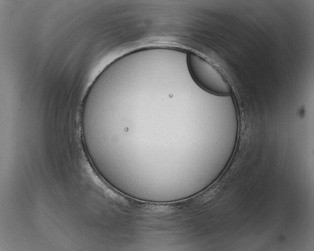 X0000116321382200912221350