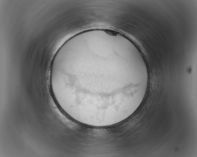 X0000116321383200912221350